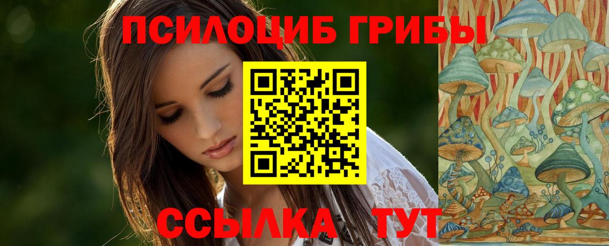 Галлюциногенные грибы ЛСД  Вход с VPN  Шали  Псилоцибиновые грибы Cubensis 